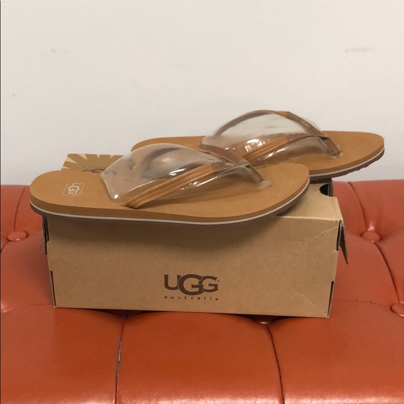 New - Picture 4 of 4